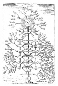 Philosophical tree Philosophical tree representing all branches of knowledge, from Ars Magna Sciendi, p. 251. Kircher, A. 02e5aa5ae9e90ac38e3a1c0e991ee1ee