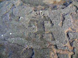 Hawaiian Petroglyphs 1700 year old from Hawaii Island 758e0d9c491d75f1be6a260c2feb7719