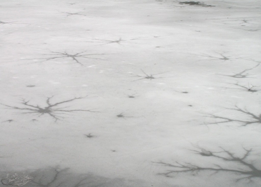Spider-like cracks on ice. Crawford Lake, Ontario, Canada. https://www.flickr.com/photos/76798588@N00/95825175/