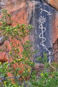 Petroglyphs. Sears Point Archaeology Site. Yuma County, AZ, USA.  56d2abbe7efb5106bbb02eb2a543a4af