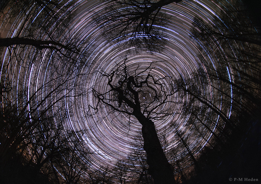 The rotating sky above old oak trees in Sweden. The Polaris, the north star, appear near the center of the star trails is almost aligned with the Earth rotation axis and marks the north celestial pole. P-M Heden, Clearskies.se