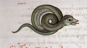 Coiled Snake