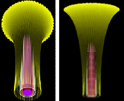 Fig. 4. Depiction of an intense auroral funnel. The figures show both downflowing and up-flowing Birkeland currents contained with two Concentric sheets. (Left) Oblique upward view. (Right) Side view. Barely discernible at the lower center are the Z-pinch instabilities.