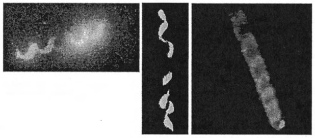 Fig. 6. Helical instabilities in the laboratory and space. (Left) 1.3-MA plasma column. (Middle) Centimeter-length plasma column conducting 2 MA. Framing camera picture, 5 ns (5 billionths of a second). (Right) Ten-kilometer, 150-mA electron current injected approximately 100 km above the earth.