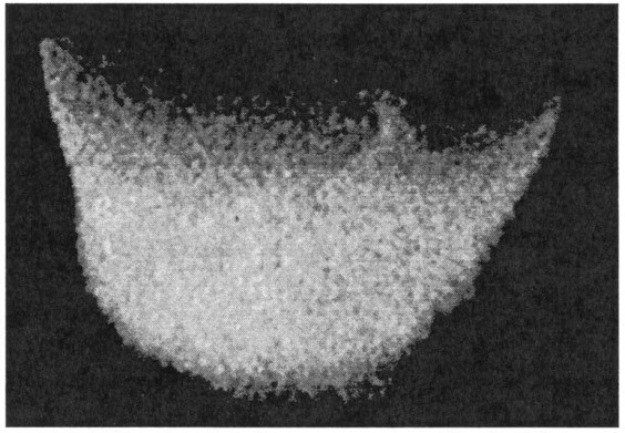 Fig. 40. Experimental plasma photograph of the upper terminus cup of an instability column as shown in Fig. 39, left. This shape can be interpreted to be a duck, a boat, or the body of an animal dependent upon the culture to which the artist belonged. A small perturbation appears two-thirds of the way to the right of this figure. At later times this feature grows into a helical or lightning-like discharge structure.